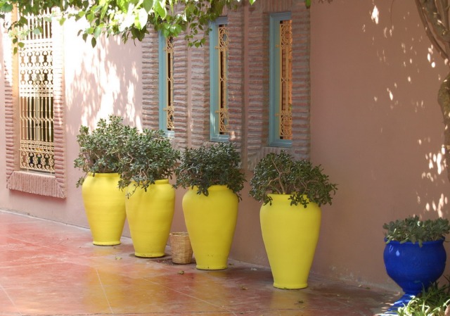 majorelle-gardens-marrakech-morocco-yves-saint-laurent-4
